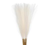 sourcing map Erba finta della pampa, 18 pezzi, 55 cm, soffice erba della pampa artificiale, decorazione alta, per soggiorno, feste, vaso da parete, decorazione per matrimoni, colore: crema