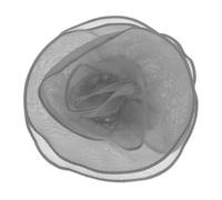 sourcing map Grande spilla a forma di fiore in raso da 17,8 cm, da donna, in organza, elegante, floreale, per matrimoni, balli, feste, vestiti, cappelli, accessori, grigio