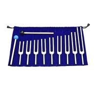 sourcing map Set di 9 diapason in lega di alluminio per il trattamento degli strumenti, per yoga, test del suono, set di strumenti per violino, chitarra, accordatore, dispositivo argento con martello