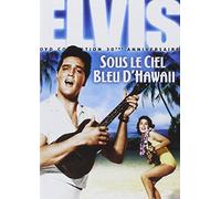 Sous le ciel bleu de hawaii