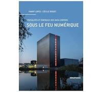 Sous le feu numérique: Spatialités et énergies des data centers