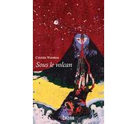 Sous le volcan. Réflexion en des temps troublés