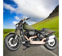 SOUTES Modello di moto Simulazione Di Motocicletta Giocattolo Regalo 1:18 Per Harley Per Davidson Fat Bob 114 2022 In Lega Metallo Street Race(Vert)