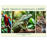 South America's impressive wildlife (Wall Calendar 2026 DIN A2 landscape), CALVENDO 12 Month Wall Calendar: Colourful life in the jungle