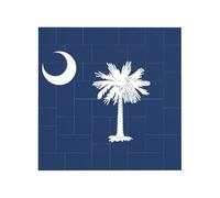 South Carolina Flag Print Building Brick Block Puzzle Quadrato Creativo Building Blocks Puzzle Casa Scrivania Decor