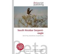 South Nicobar Serpent-eagle: Bird of Prey, Falconiformes, Accipitriformes