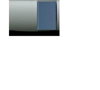 Southern Families at War (Copertina rigida)