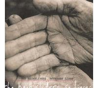 Southern Lines by The Backsliders