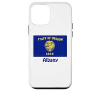 Souvenir bandiera USA Albany Oregon Custodia per iPhone 12 mini