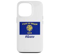 Souvenir bandiera USA Albany Oregon Custodia per iPhone 13 Pro