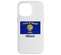 Souvenir bandiera USA Albany Oregon Custodia per iPhone 14 Pro Max