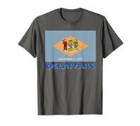 Souvenir Bandiera USA Delaware Maglietta