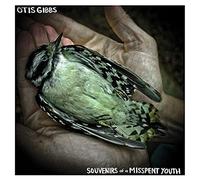 Souvenirs Of A Misspent Youth - Otis Gibbs (Audio cd)