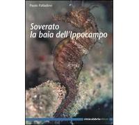 Soverato la baia dell'ippocampo