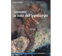 Soverato la baia dell'ippocampo - [Città Calabria]