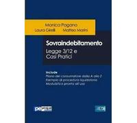 Sovraindebitamento. Legge 3/12 e casi pratici
