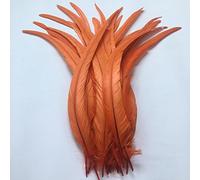 Sowder Confezione da 50 piume di coda di gallo, lunghezza 28-35,6 cm, colore: arancione