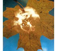 SOYUZ Force of the Wind 12" Album (Clear vinyl)