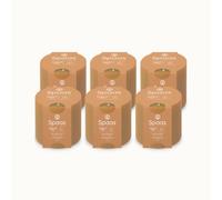Spaas 6 Candele Profumata Glow, ± 35 Ore, Cocco e Foglia di Fico