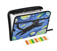 Space Cat, organizer per documenti a fisarmonica, 13 tasche, espandibile, con etichette, porta banconote, ricevute, documenti