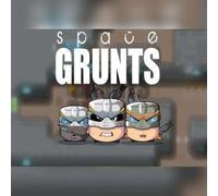 Space Grunts (PC) Steam Key - GLOBAL