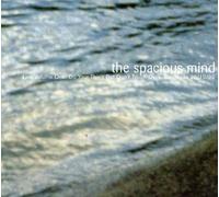 Spacious Mind - Do Your Thing But Don T Touch