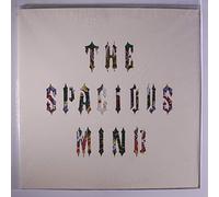 SPACIOUS MIND - garden of a well fred head LP