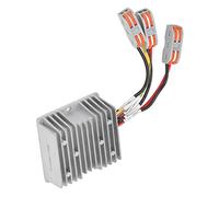 Spacnana 300W 20 Controller di Carico Solare con Alta Efficienza della Tecnologia MPPT, Adatto all'Uso di Un Lampione [Senza Uscita Fiscale Durante Il Giorno] (25.2V)