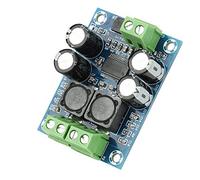 Spacnana Modulo Amplificatore Mono da 60 W, Scheda Amplificatore di Potenza Audio Digitale di Classe D con Efficienza del 93%, Perfetta per Sistemi Audio Domestici e Progetti Fai-da-te