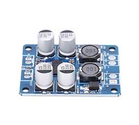 Spacnana Mono Performance -Ampplifier -PO3118 Modulo Piastra 60W
