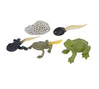 Spacnana Simulazione del Modello di Crescita del Modello Animale Modello Statua Statue Giocattoli Educativi e Divertenti