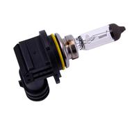 Spahn Lampadina 12v 51w Hb4 P22d