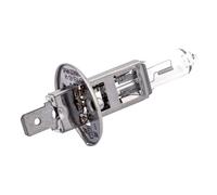 Spahn Lampadina 12v 55w H1 50+ P14.5s