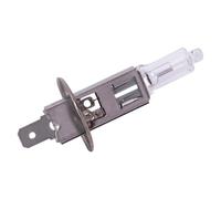 Spahn Lampadina 12v 55w H1 P14.5s