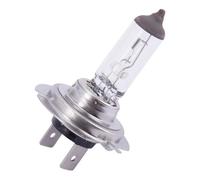 Spahn Lampadina 12v 55w H7 50+ Px26d