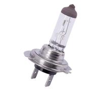 Spahn Lampadina 12v 55w H7 Longlife Px26d