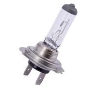 Spahn Lampadina 12v 55w H7 Px26d