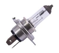 Spahn Lampadina 12v 60/55w H4 50+ P43t