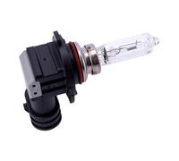 Spahn Lampadina 12v 65w Hb3 P20d