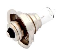 Spahn Lampadina 6v 15w P26s Halogen
