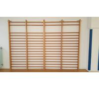 Spalliera svedese a 2 campate norme UNI 180x250 cm Vivisport