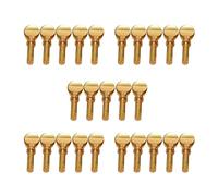 Spamietz Vite di serraggio a collo di sassofono di rame di clarinetto d'oro pezzi di strumento a vento tenor alto soprano confezione da 25