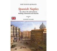 Spanish Naples. Ten walks in the midst of streets, buildings, monuments and churches