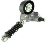 Rullo tenditore cinghia distribuzione T41165 GATES per VOLVO RENAULT