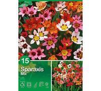 Sparaxis "Mix" Mischung