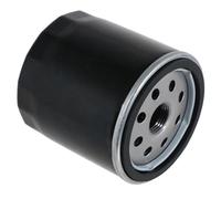 SPARES2GO Filtro dell'olio per tosaerba Briggs & Stratton per motore Intek adatto a Vanguard (491056, 491056S)