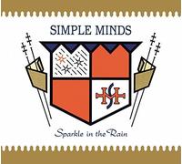 Sparkle In The Rain by Simple Minds