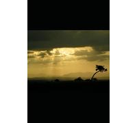 SPARKLE TILL YOU SHINE