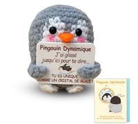 Sparkle x Lab Pinguino positivo, pinguino francese positivo, regalo originale e divertente, patata francese positiva, regalo di compleanno donna uomo bambino coppia collegue, decorazione casa