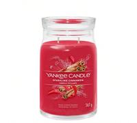 Sparkling Cinnamon Signature Large Jar Candle 567 g Tagli Unicavetro